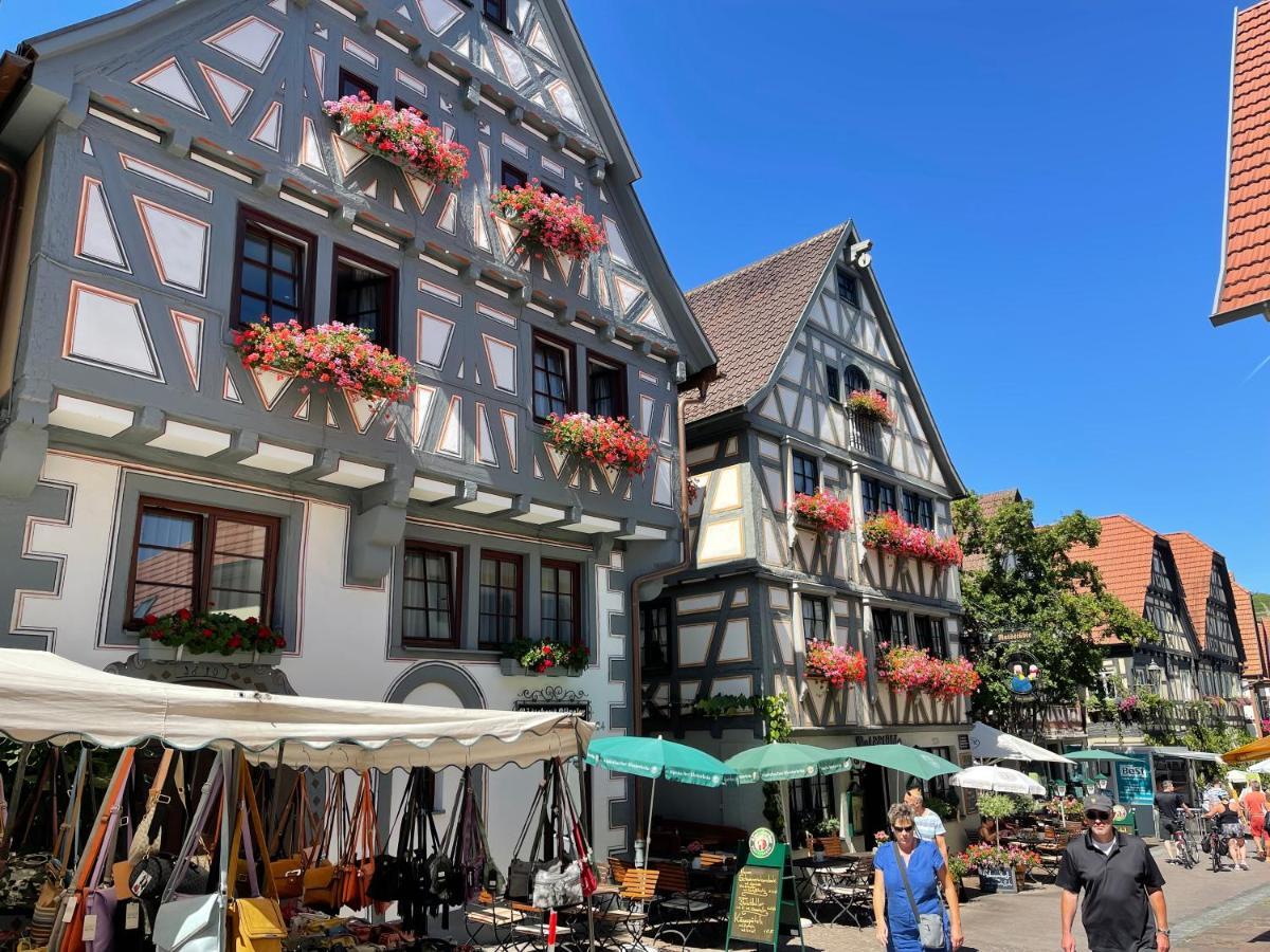 Gaestehaus Klingler Besigheim Exteriér fotografie