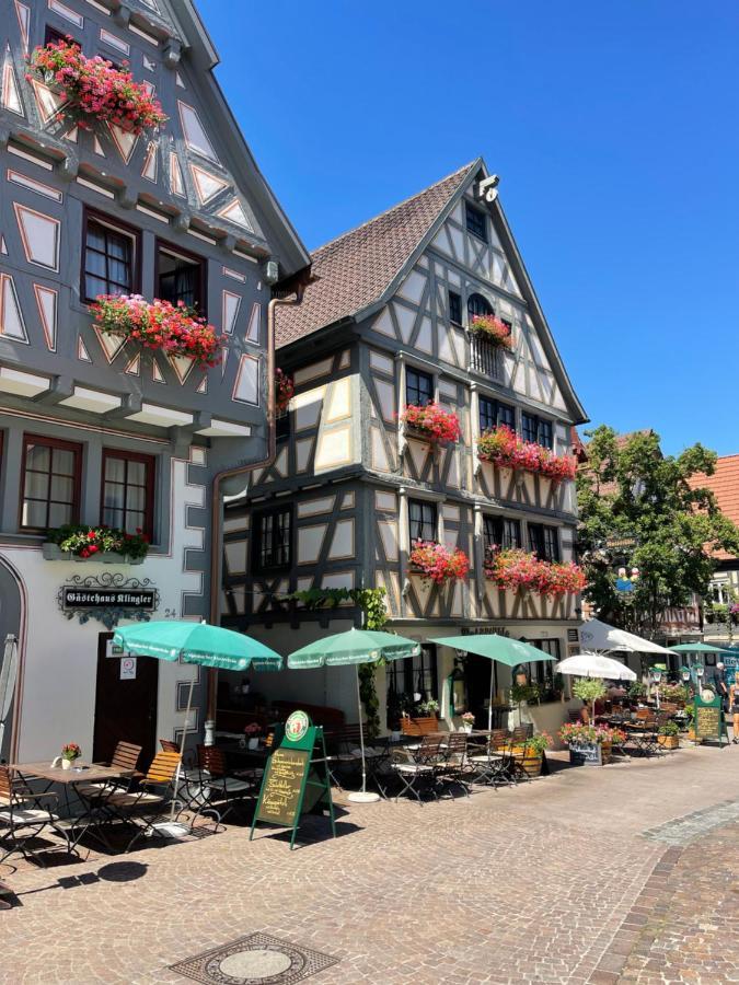 Gaestehaus Klingler Besigheim Exteriér fotografie